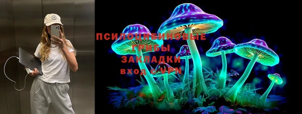дживик Балахна