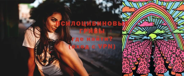 дживик Балахна